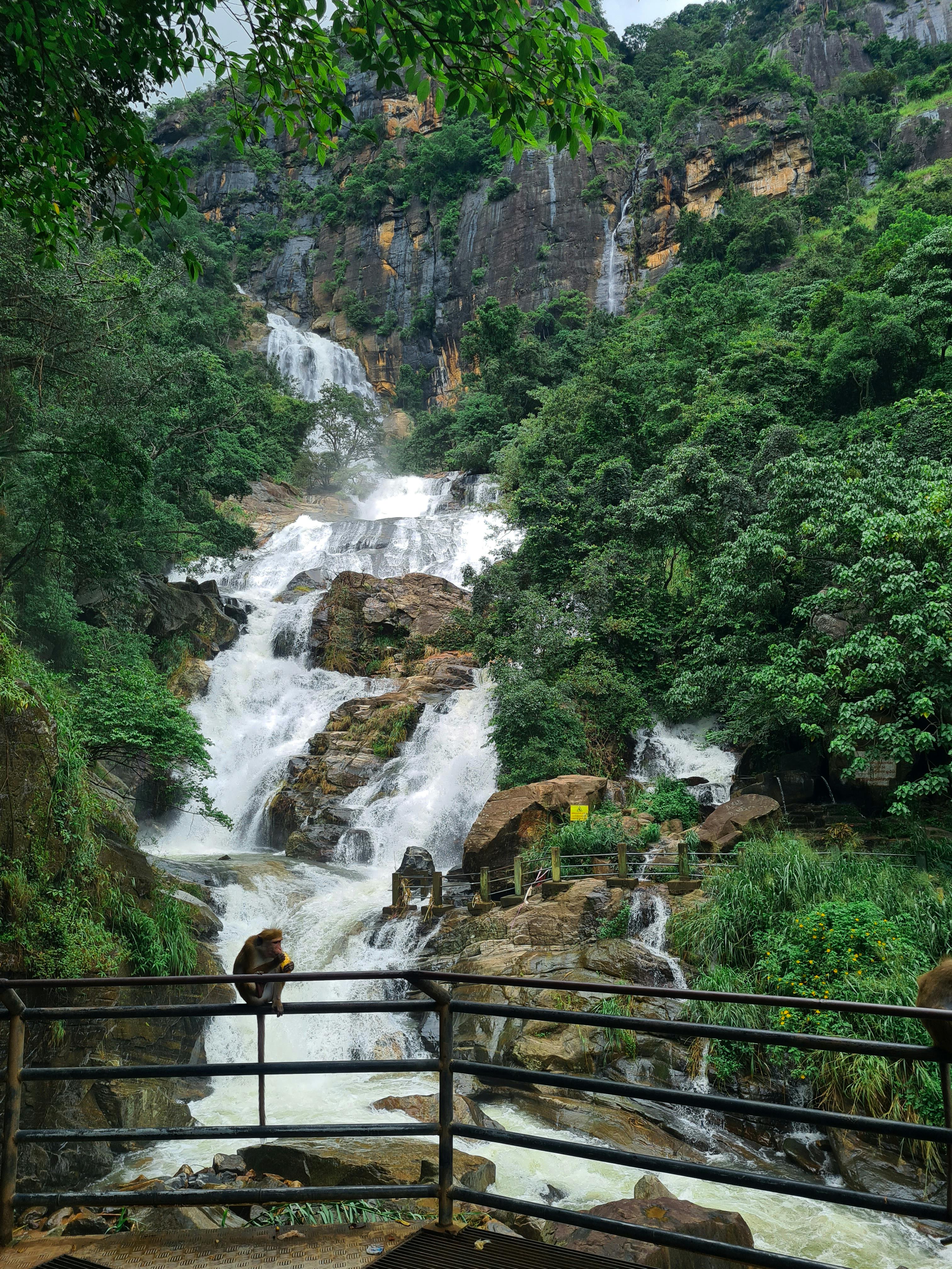 Discover Sri Lanka 13